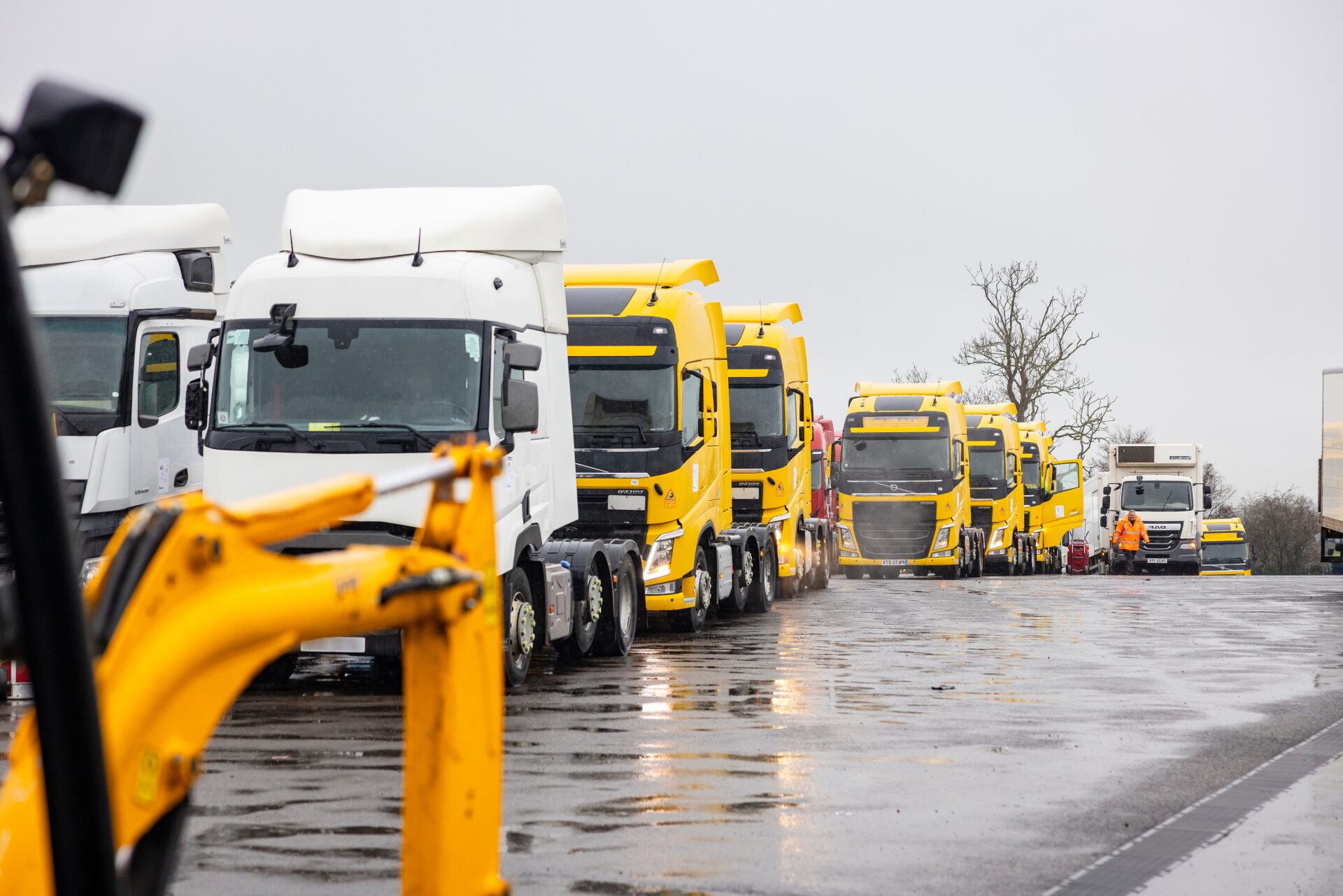 Truck and Plant from Manheim