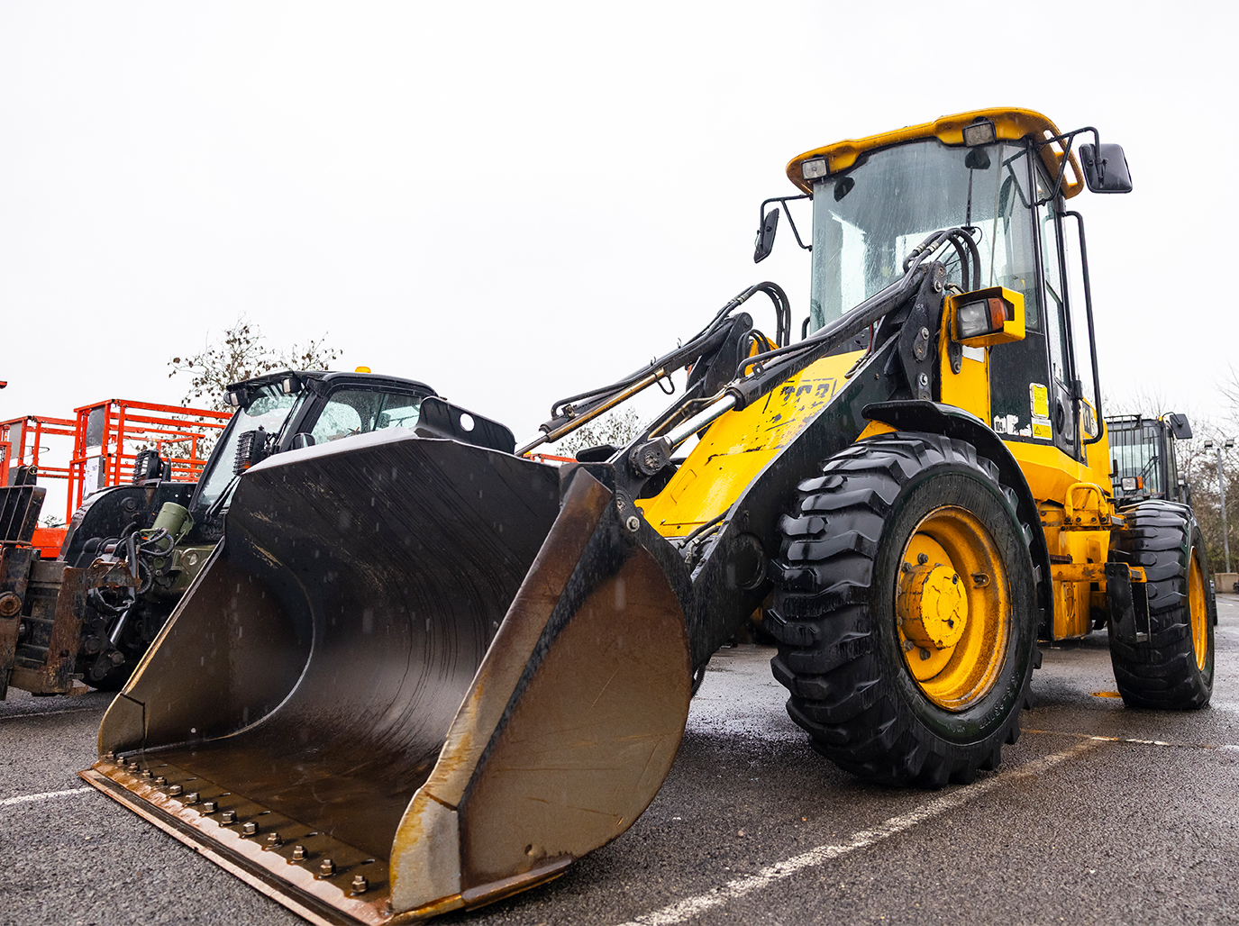 Digger at auction