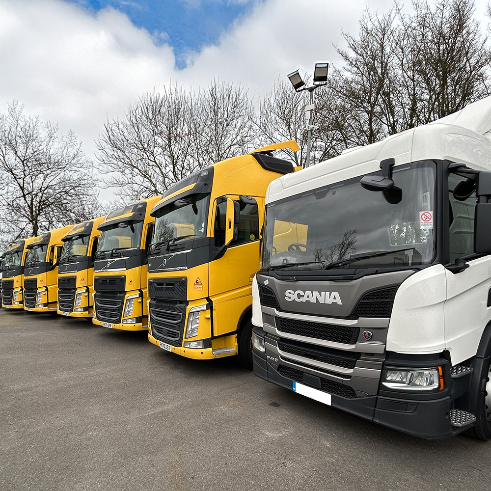 Trucks lined up ready for auction